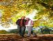 older couple under tree